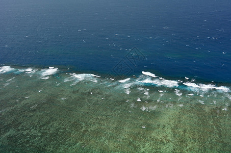在澳大利亚昆士兰州北昆士兰热带地区凯恩斯附近的大堡礁上图片