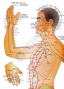 针灸是一种补充医学系统图片