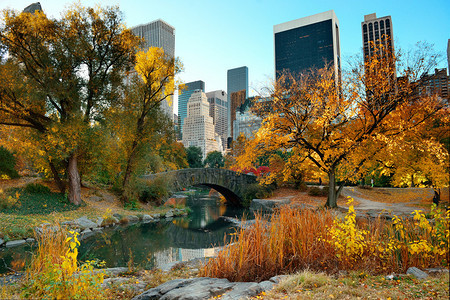 中央公园秋天和纽约市曼哈顿图片