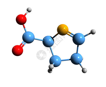 1吡咯啉5羧酸骨架式的3D图像白色背景下分离的环状亚氨基酸的图片