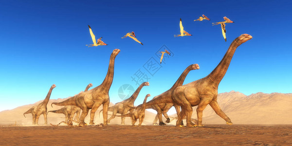 一群塔拉索德罗缪斯爬行动物飞过一群布朗托梅罗斯恐龙图片
