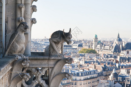 法国巴黎圣母院的巴黎图片