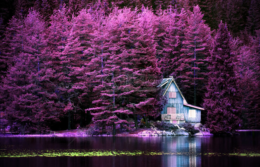 紫红色风景只有别墅在平静的湖边图片