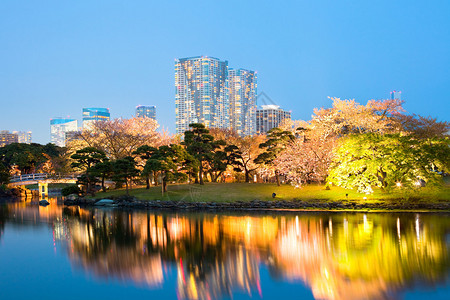 公园的河边夜景图片