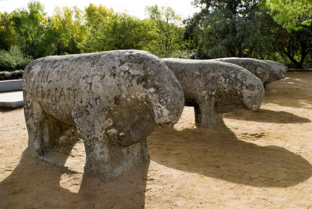 古老的石头公牛吉桑多图片