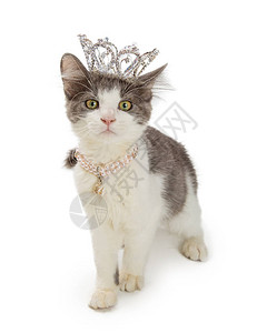 穿戴白底公主瑞雅石王冠和珍珠项图片