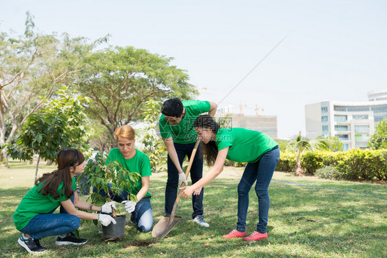 亚洲青年群体在城市公园植树图片