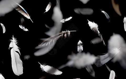 黑色背景上飘落的羽毛的抽象图案图片
