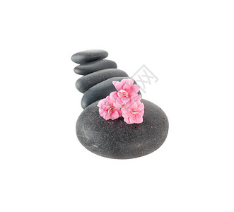 黑色温泉石线粉红色花图片