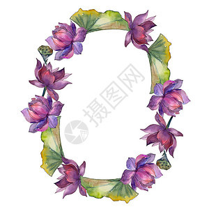 水彩五颜六色的莲花卉植物花框架边框装饰广场背景纹理包装图案框架或边框图片
