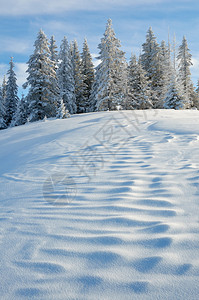 冬季风景与雪图片