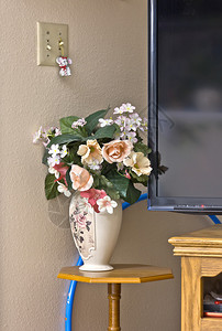 静物塑料花瓶架和电视角图片