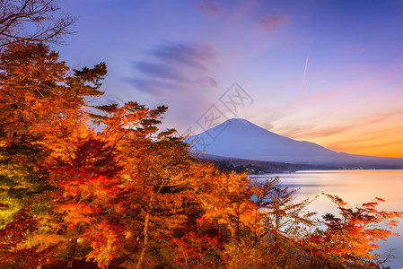 秋天的日本富士山图片