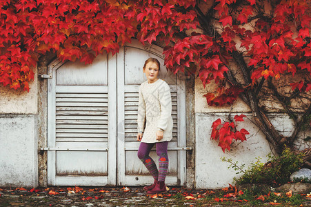 秋天的美少女画像穿着丝织的米面色拖拉衣裙子穿着红色长春藤叶在图片