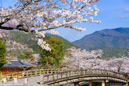 日本京都岚山图片