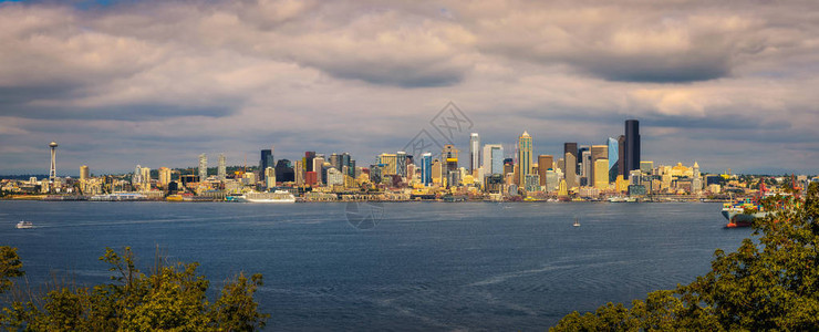 从汉密尔顿景点公园观看的西雅图横跨艾略特湾图片