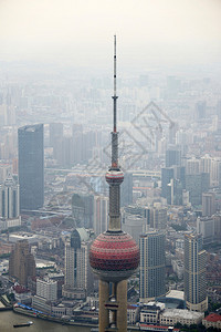 上海浦东金融区东方珍珠塔的图片