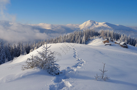 牧羊人山村冬季景观雪中的小路晴天圣诞节的样子喀尔巴阡山脉背景图片
