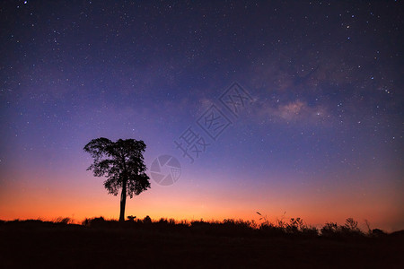 唯美的夜景星空星星图片