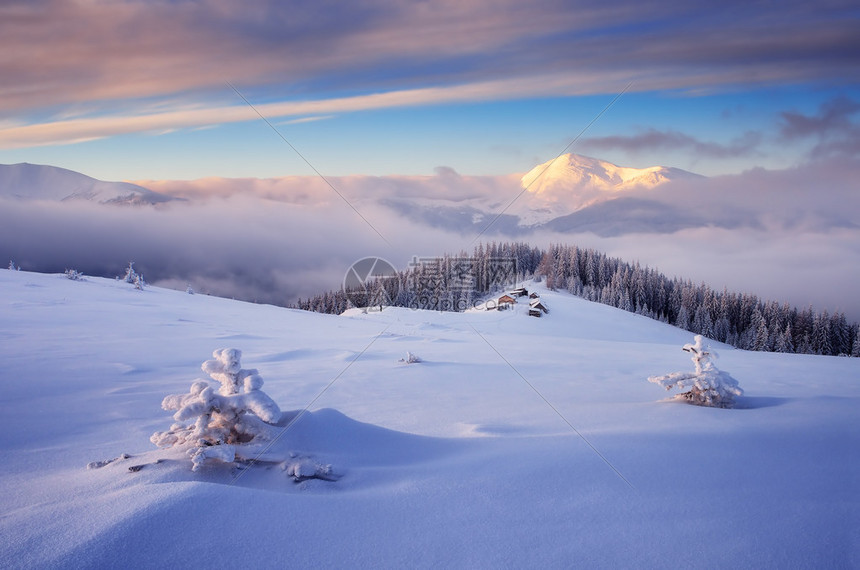 寒冷的早晨在山上草地上的牧羊人村树木和山丘上的新雪乌克兰图片