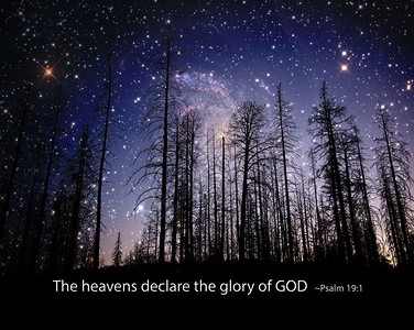 诸天宣扬神的荣耀远处有一片星域映衬的森林星图由NASA和公共领域提供诗图片