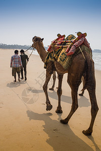 拉贾斯坦邦旅行背景的复古潮人风格旅行形象图片