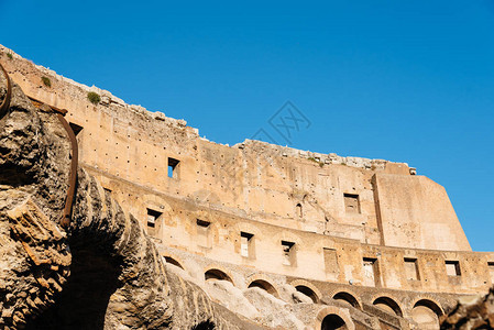TheColosseum或Coliseum的室外景观图片