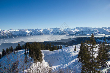 德国阿尔卑斯山冬季有树木的雪图片