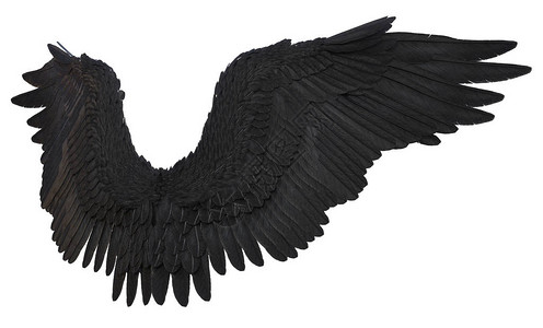 3D白色背景的黑色幻想天使翼图片