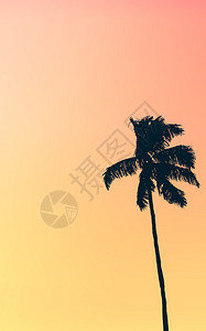 逆向样式单一棕榈树与静默糊面粉色热带红色和橙色图片