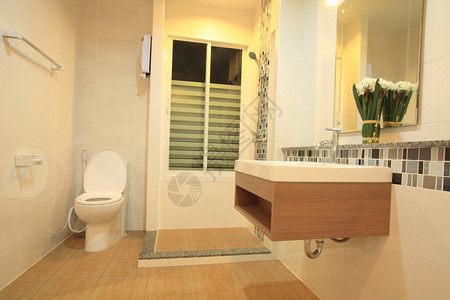 豪华现代风格的室内浴室图片