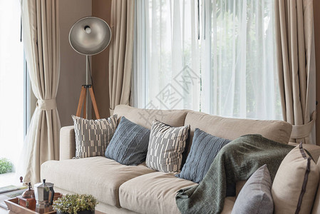 现代客厅风格棕色现代沙发和套枕头图片