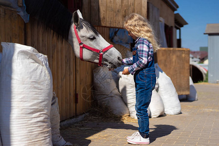 孩子在农场喂马的侧视图图片