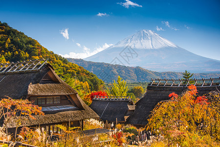 在日本有富士山的Iyashinosato村图片