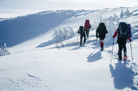 旅行者在深雪中攀登Gorgany山图片