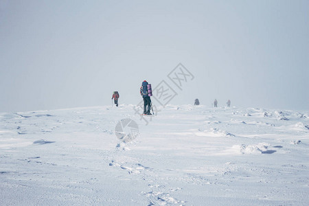 登山队到达Gorgany山顶图片