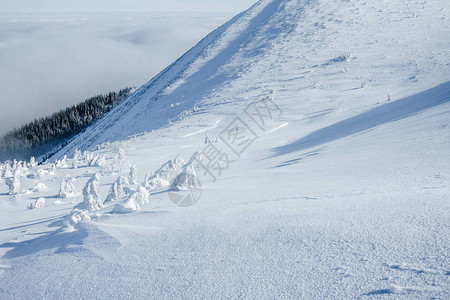 Gorgany山脉的冰雪冬季景观图片