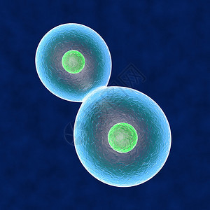 核心细胞复制人体背景图片