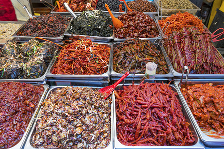 韩国首尔广藏市场展出的食品背景图片