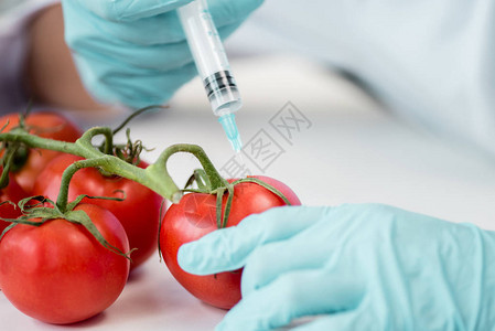 科学家持有注射器和在实验室进行蔬菜实验的裁剪图片