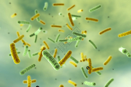 水生细菌3D插图饮图片