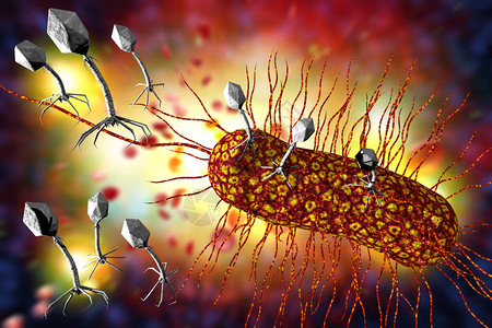 攻击细菌胞3D插图的近图片