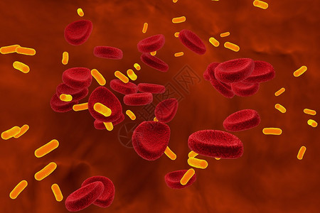 3D插图血液中的细菌请查看血管内图片