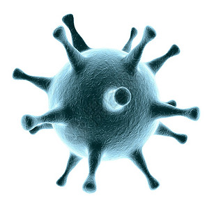 赫卑斯的数字图解微生物现实形象微生物图片