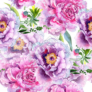 水彩风格的野花牡丹粉红色花卉图案背景包装图案框架或边框图片