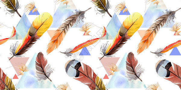 从翅膀的水彩鸟羽毛图案背景包装图案框架或边框图片