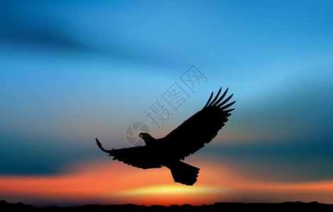 夕阳下的飞鹰艺术插图图片