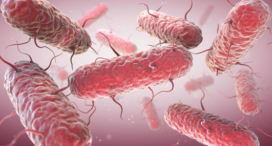 食物中毒肠内阴细菌是一大的克型阴细设计图片