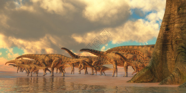 脊髓灰质龙是一种食草恐龙图片