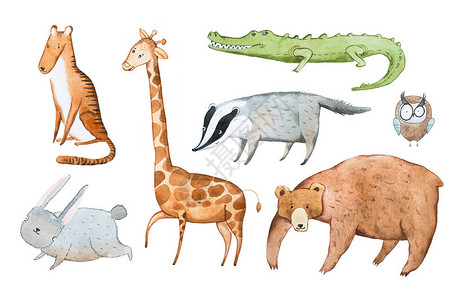 动物手绘水彩画的水彩插图图片